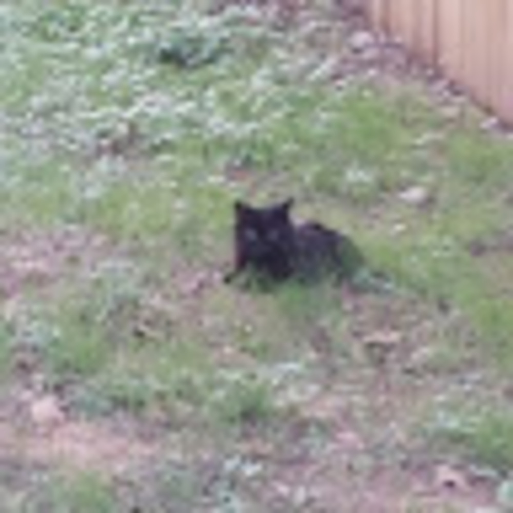 Meet your Posher, Jose